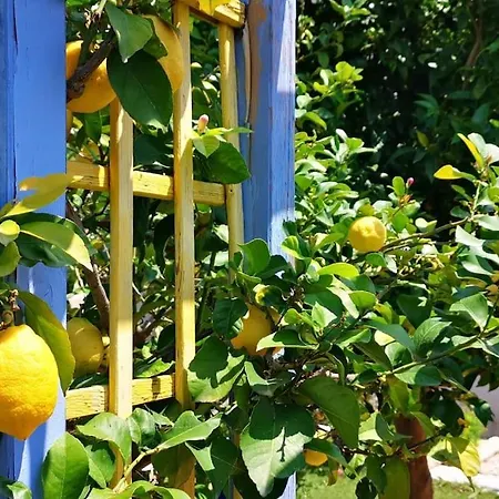 Вилла A With Pool And Spa, Cool Garden!
