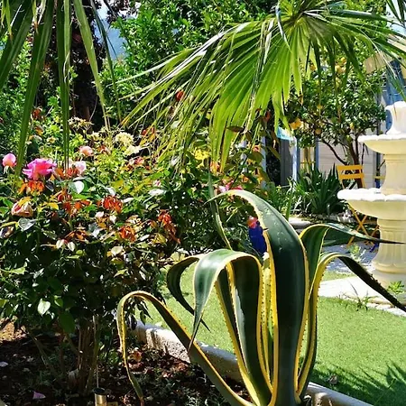 A With Pool And Spa, Cool Garden!